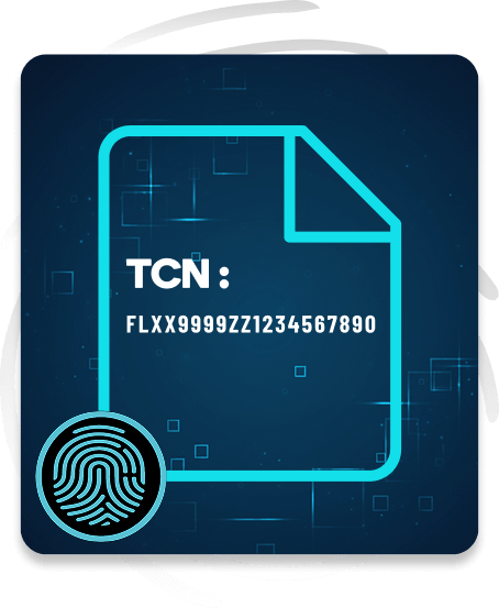 Your Transaction Control Number (TCN)